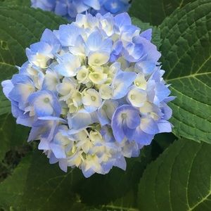 Meet your Posher, Judith